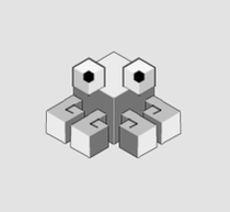Subgraph OS